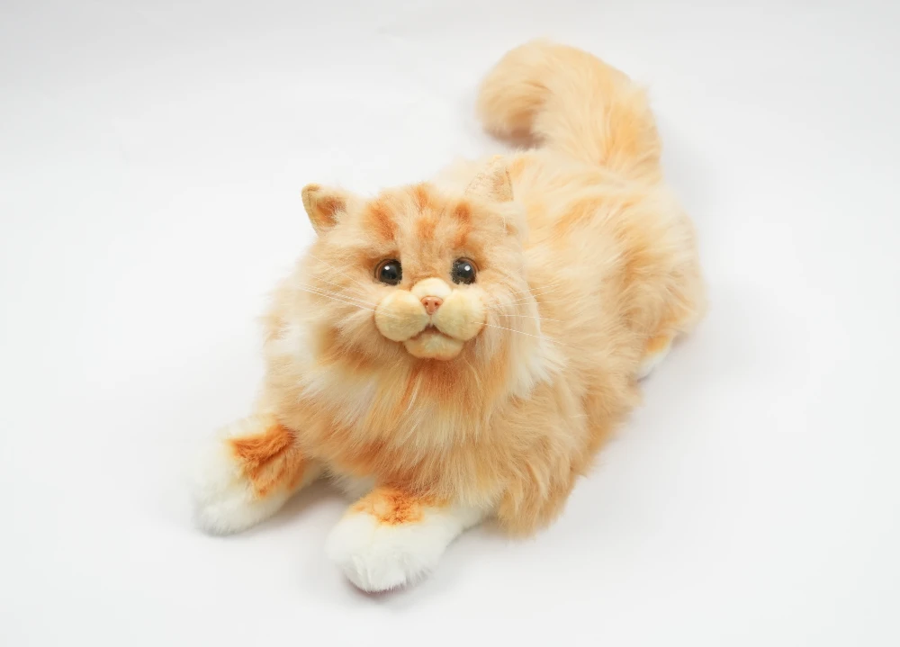 Robotkatt for eldre – Lyshåret - MetaCat