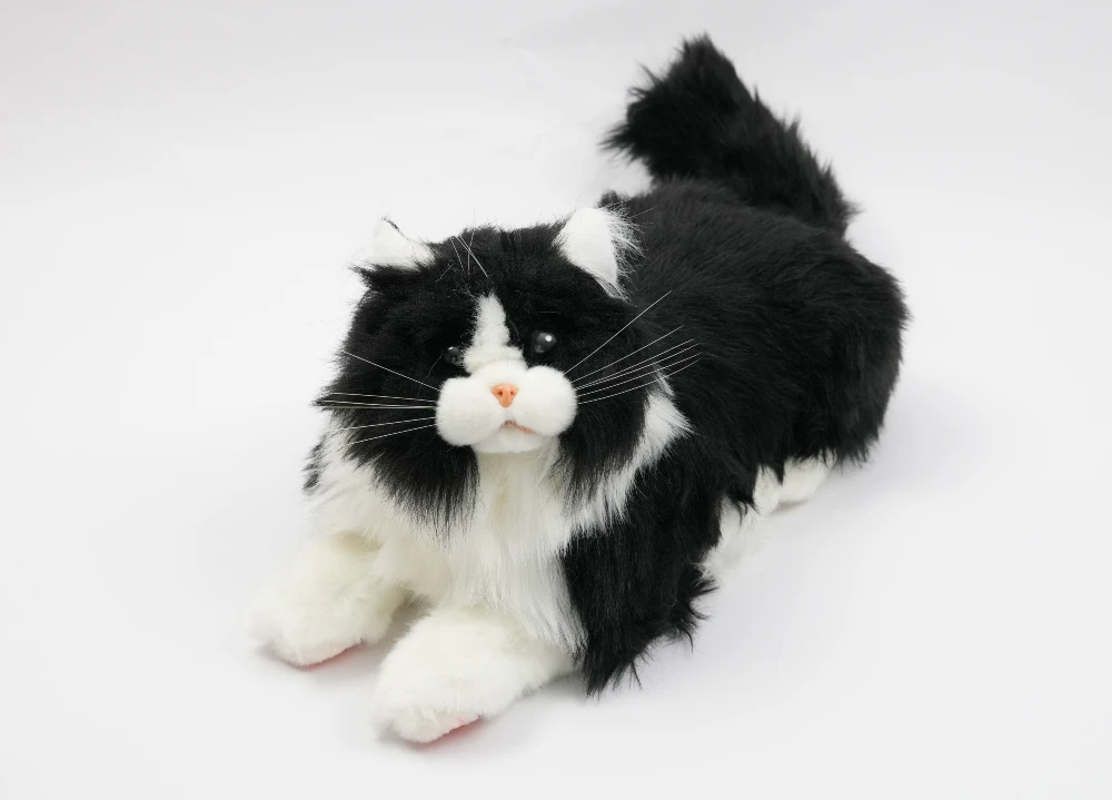 Terapikatt for eldre, svart og hvit - MetaCat